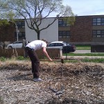 IMG_20110421_115948