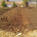 New Beds